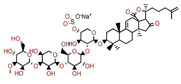 Mollisoside B1